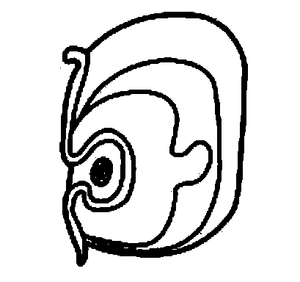 il